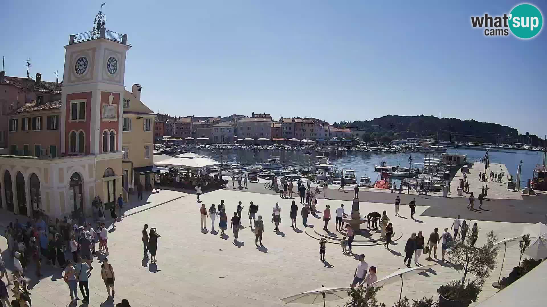 Webcam Rovigno piazza | LIVE cam Piazza centrale Rovigno