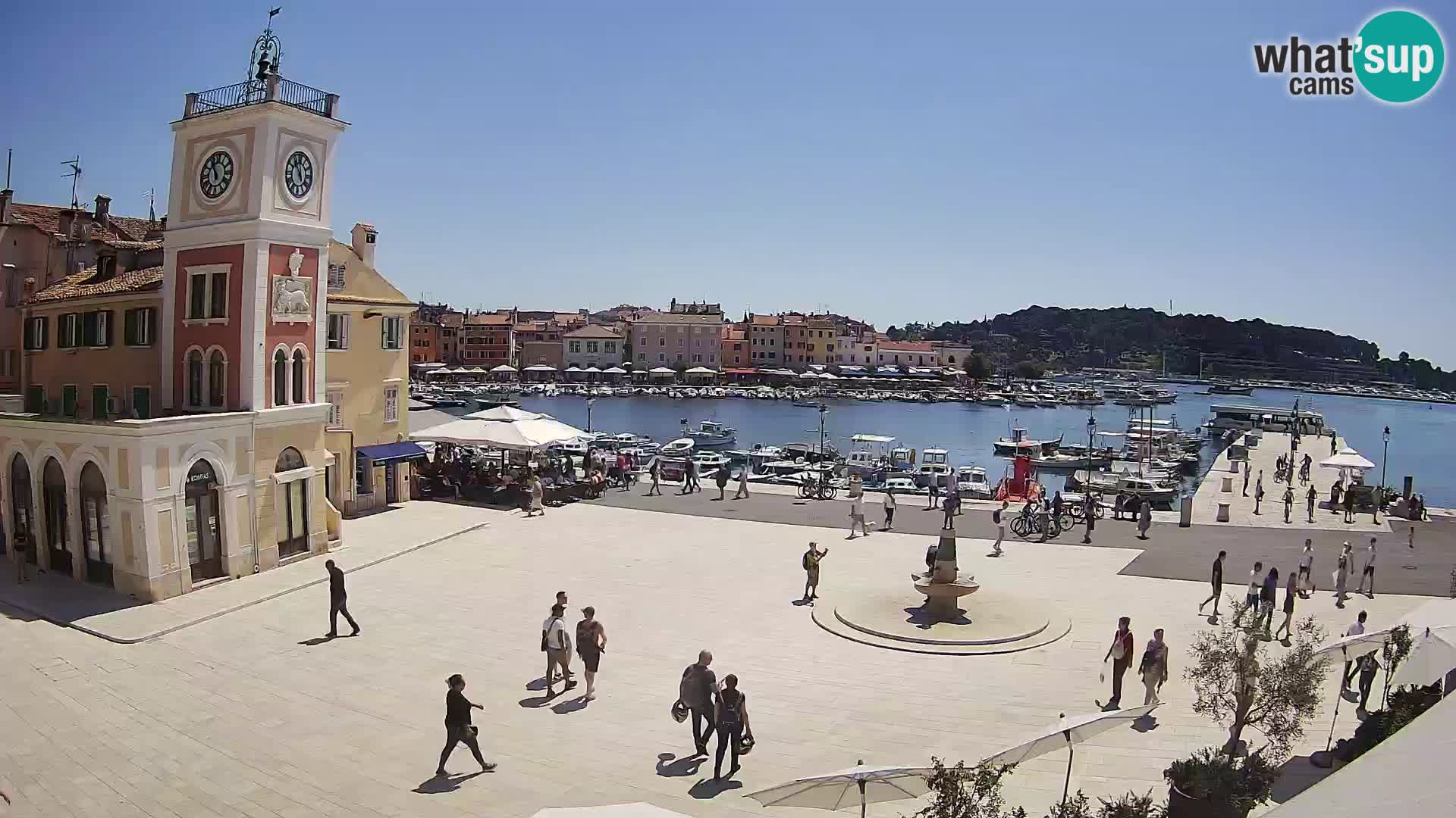 Rovinj spletna kamera trg