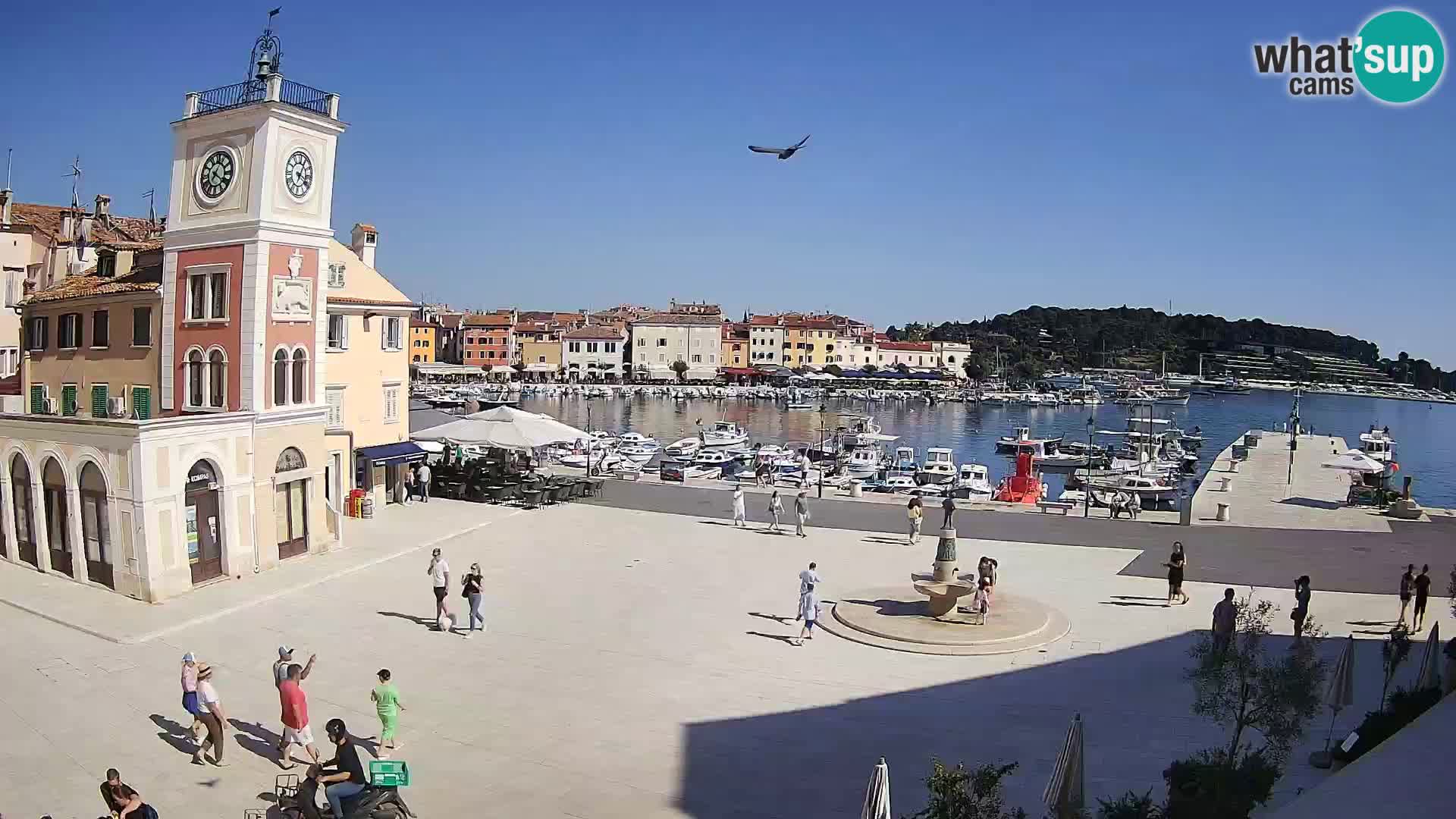 Webcam Rovinj Hauptplatz – Istrien – Kroatien