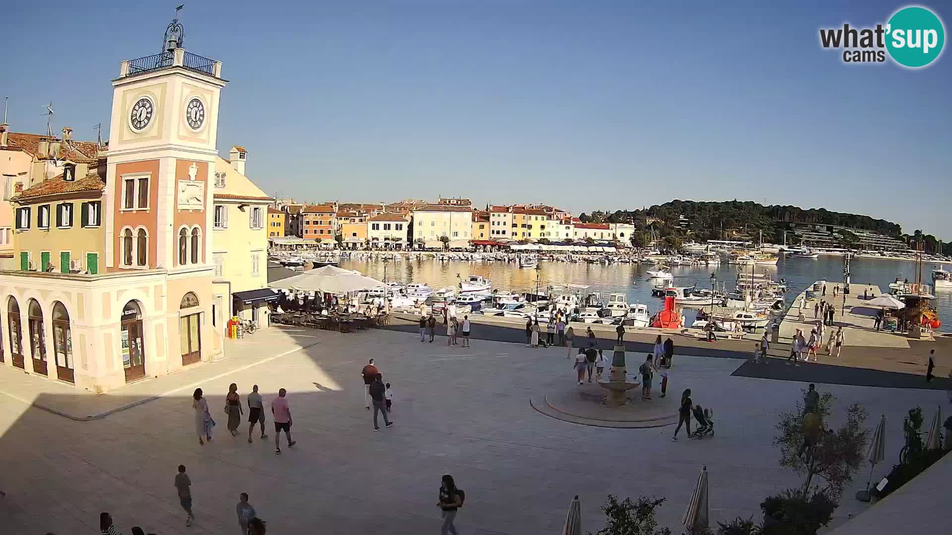 Rovinj spletna kamera trg