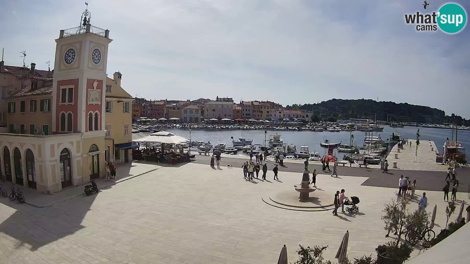 ROVINJ Webcam main square
