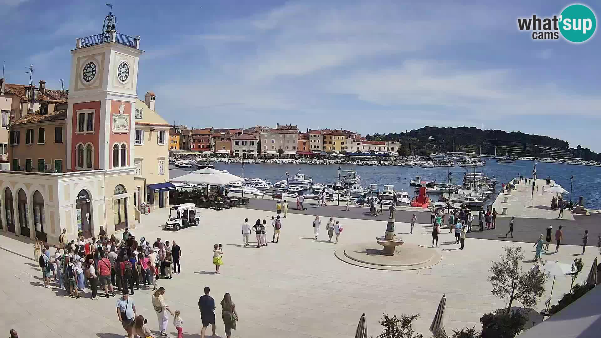 Rovinj live cam – the main square