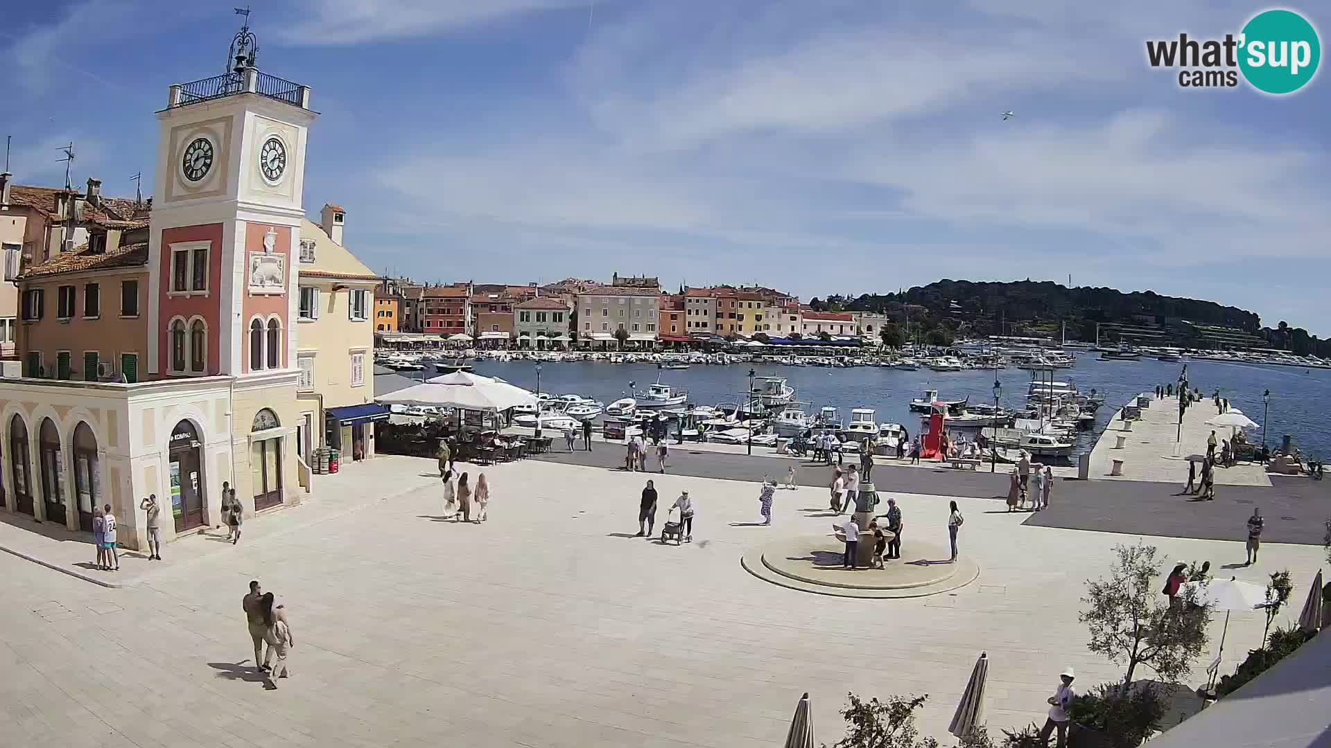Rovinj – Rovigno LIVE cam Piazza centrale – Istria – Croazia