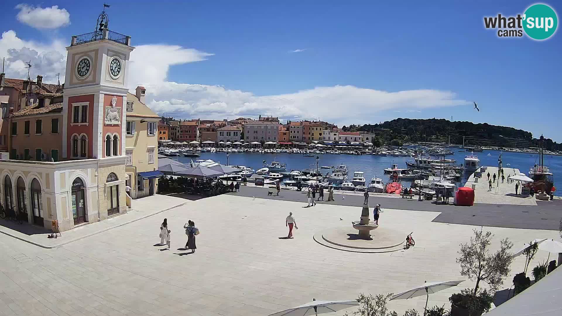 Rovinj – Rovigno LIVE cam Piazza centrale – Istria – Croazia