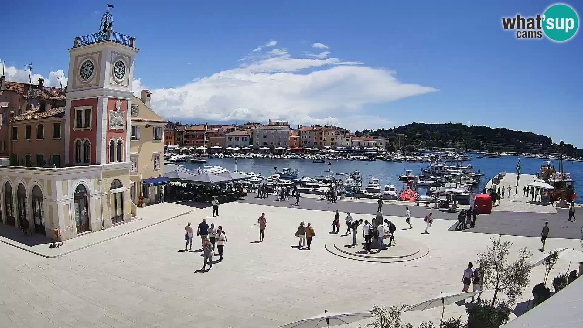 Rovinj live cam – the main square