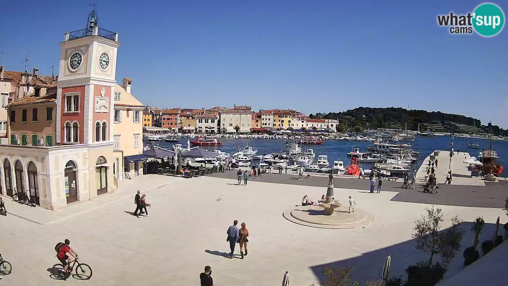 Rovinj live cam – the main square