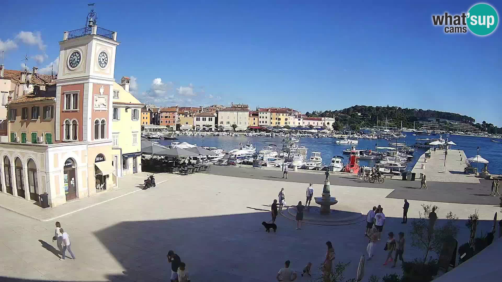ROVINJ Webcam main square