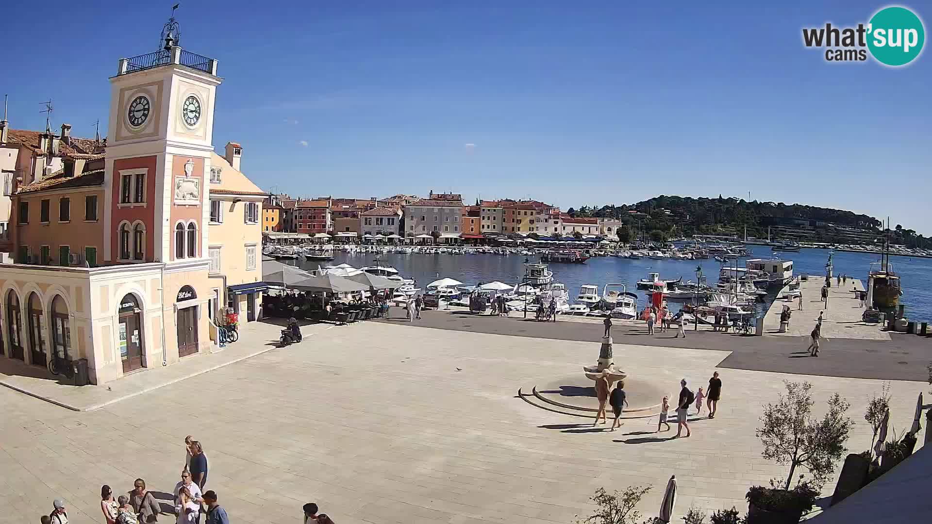 Rovinj spletna kamera trg