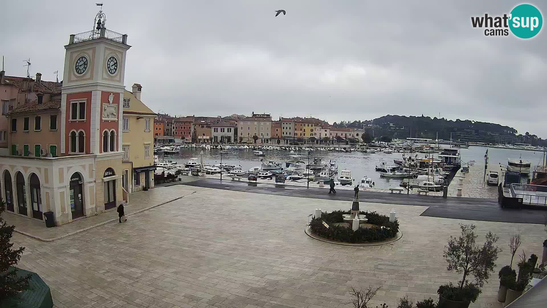 ROVINJ Webcam main square
