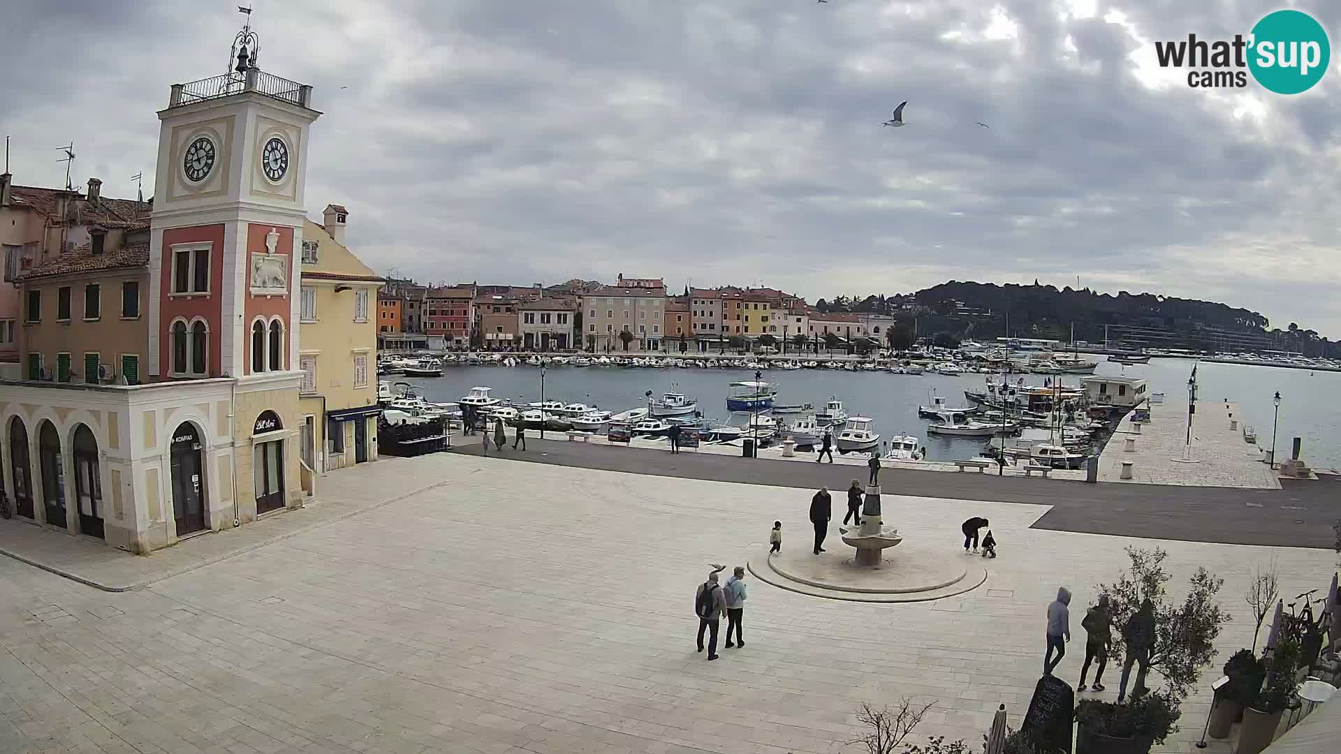 ROVINJ Webcam main square