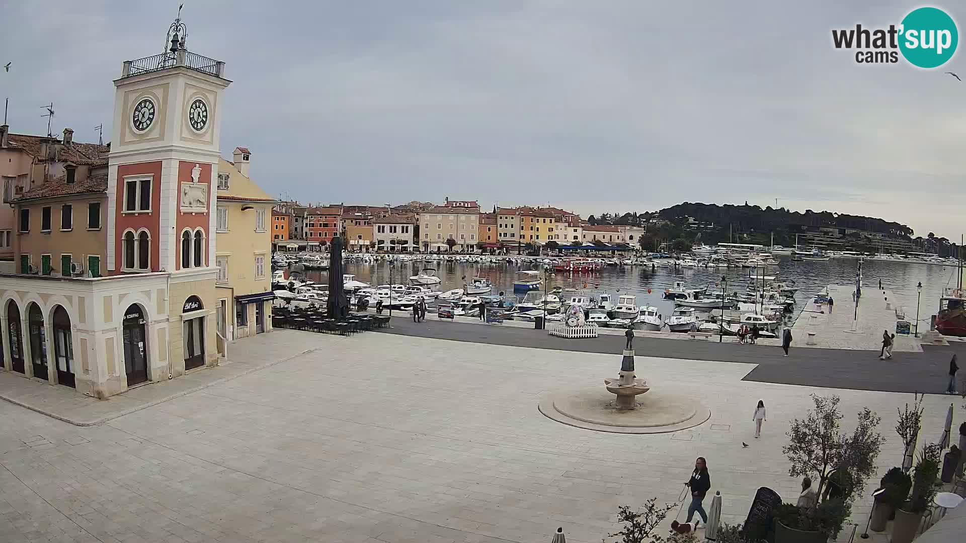 ROVINJ Webcam main square