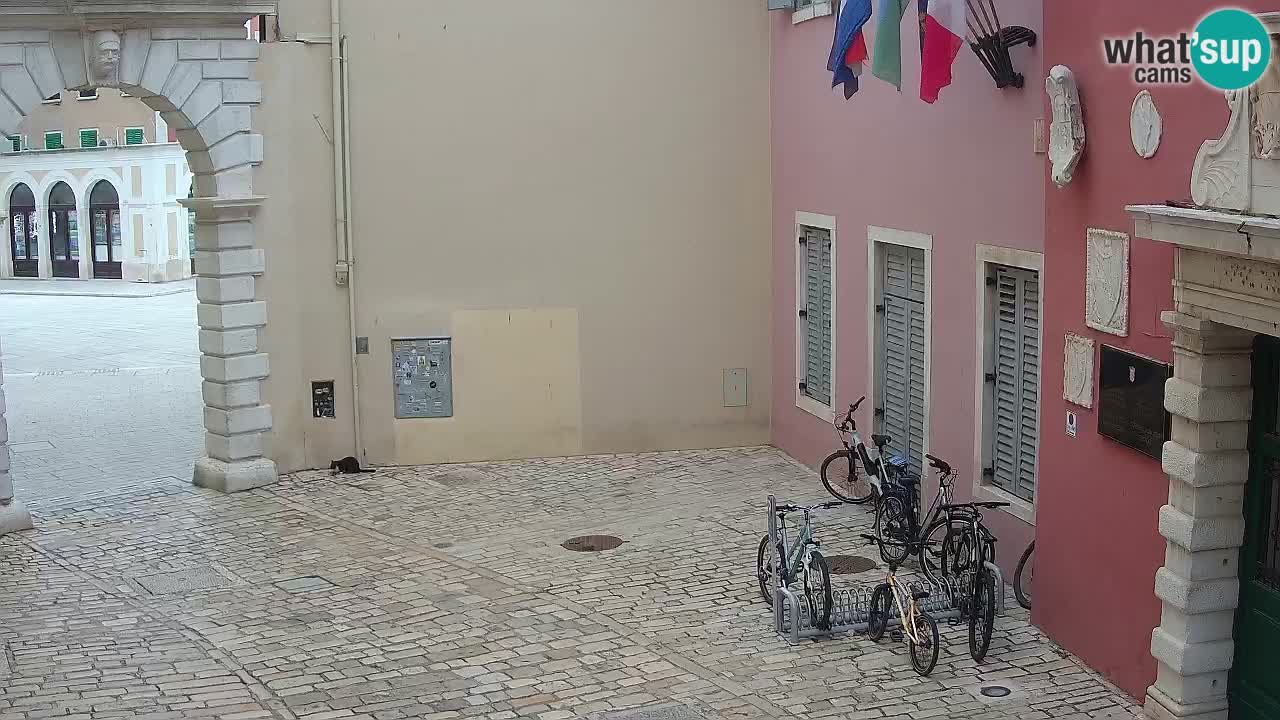 Live Rovigno webcam – Arco di Balbi “Porta della città” – Istria