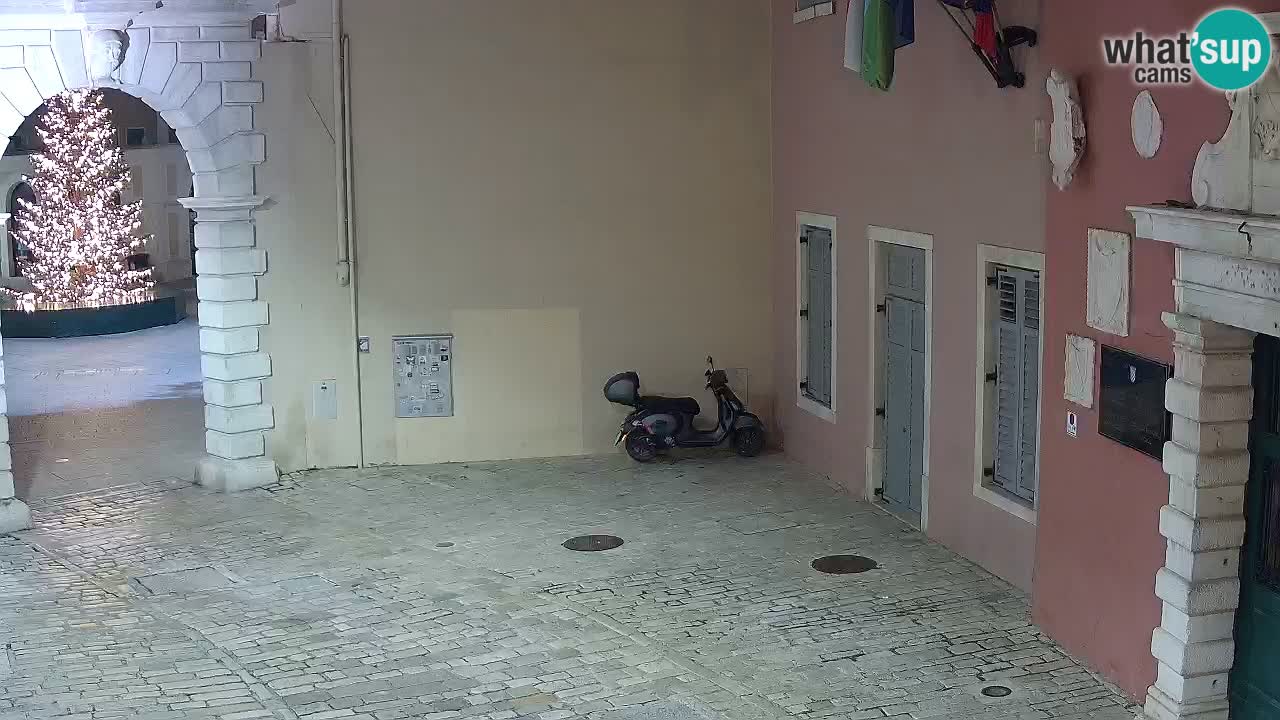 Live Rovigno webcam – Arco di Balbi “Porta della città” – Istria