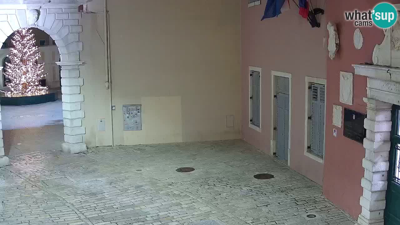Live Rovigno webcam – Arco di Balbi “Porta della città” – Istria