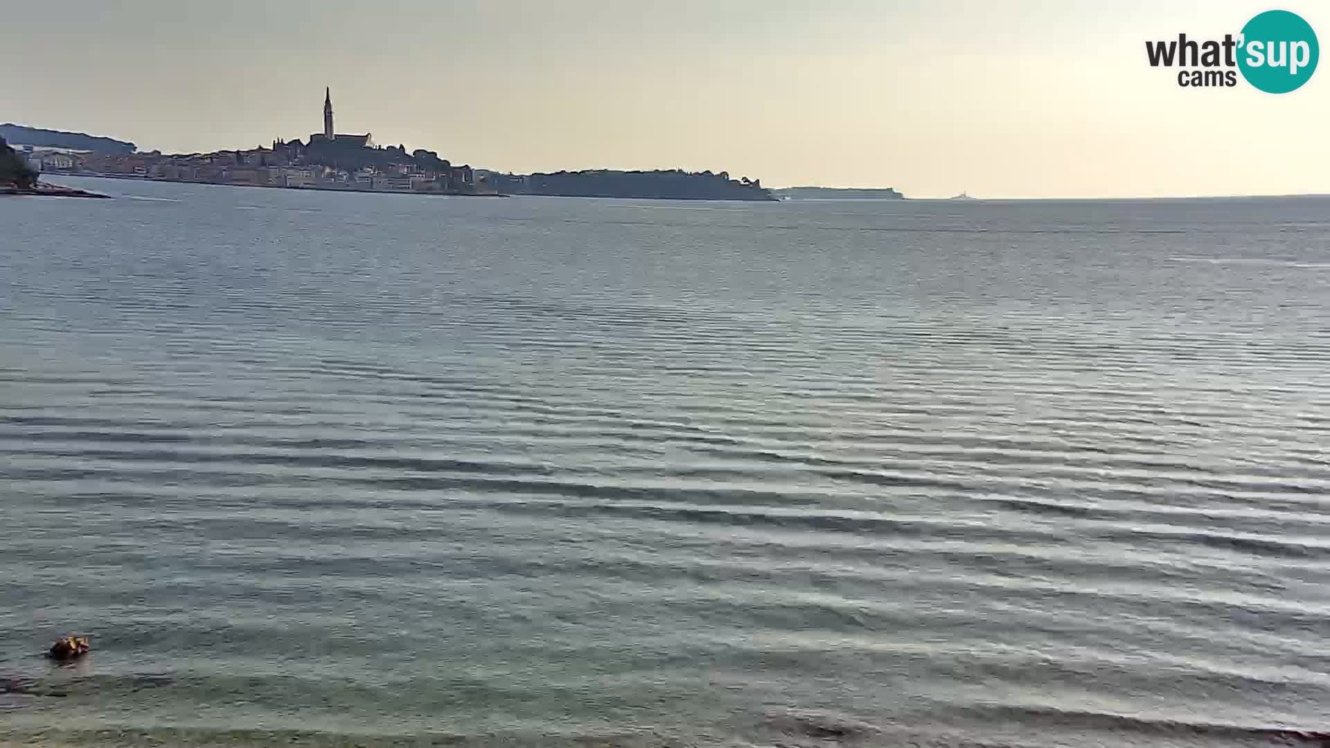 Spletna kamera plaža Borik Rovinj