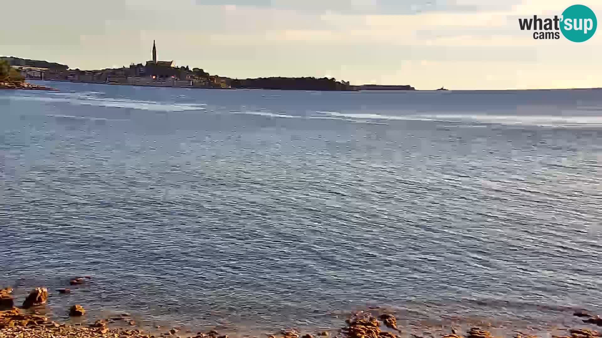 Webcam Spiaggia Borik a Rovigno – Istria