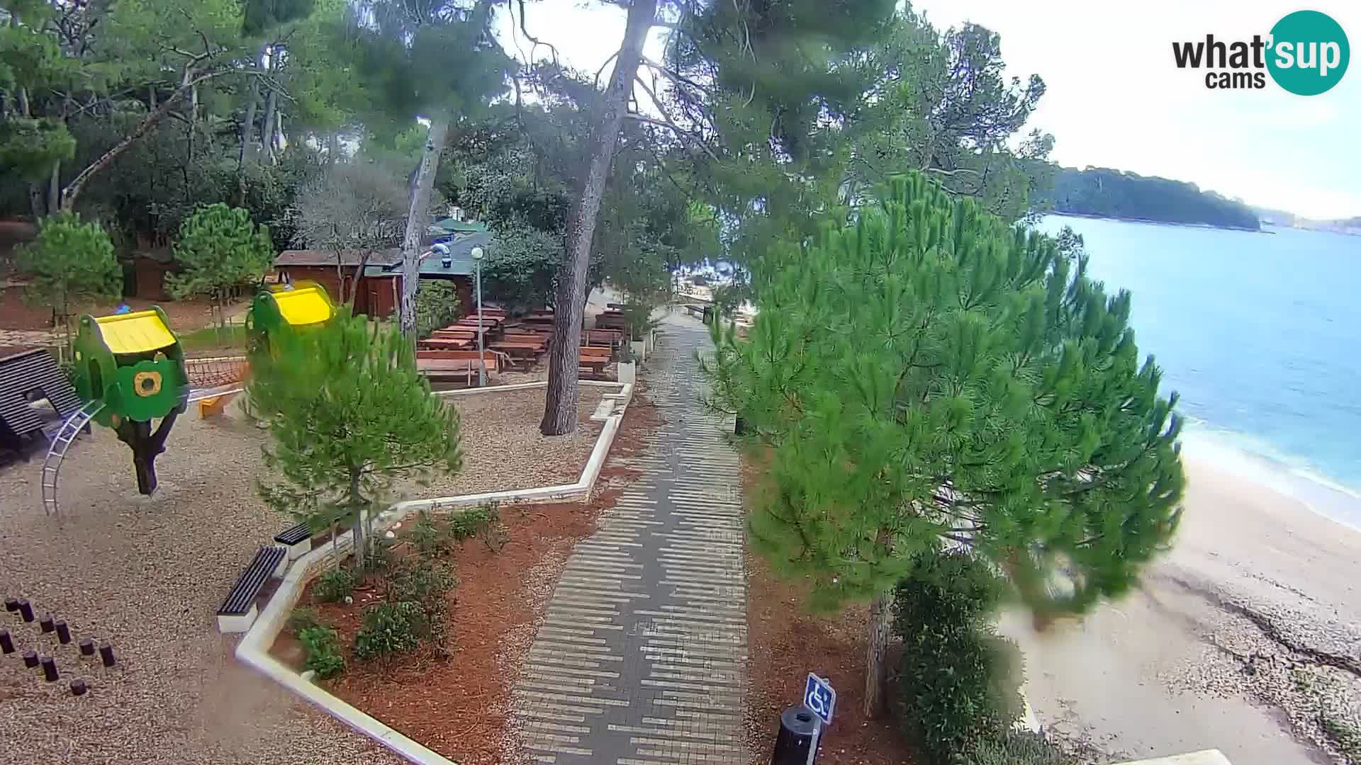 Webcam Borik Strand Rovinj – Istrien