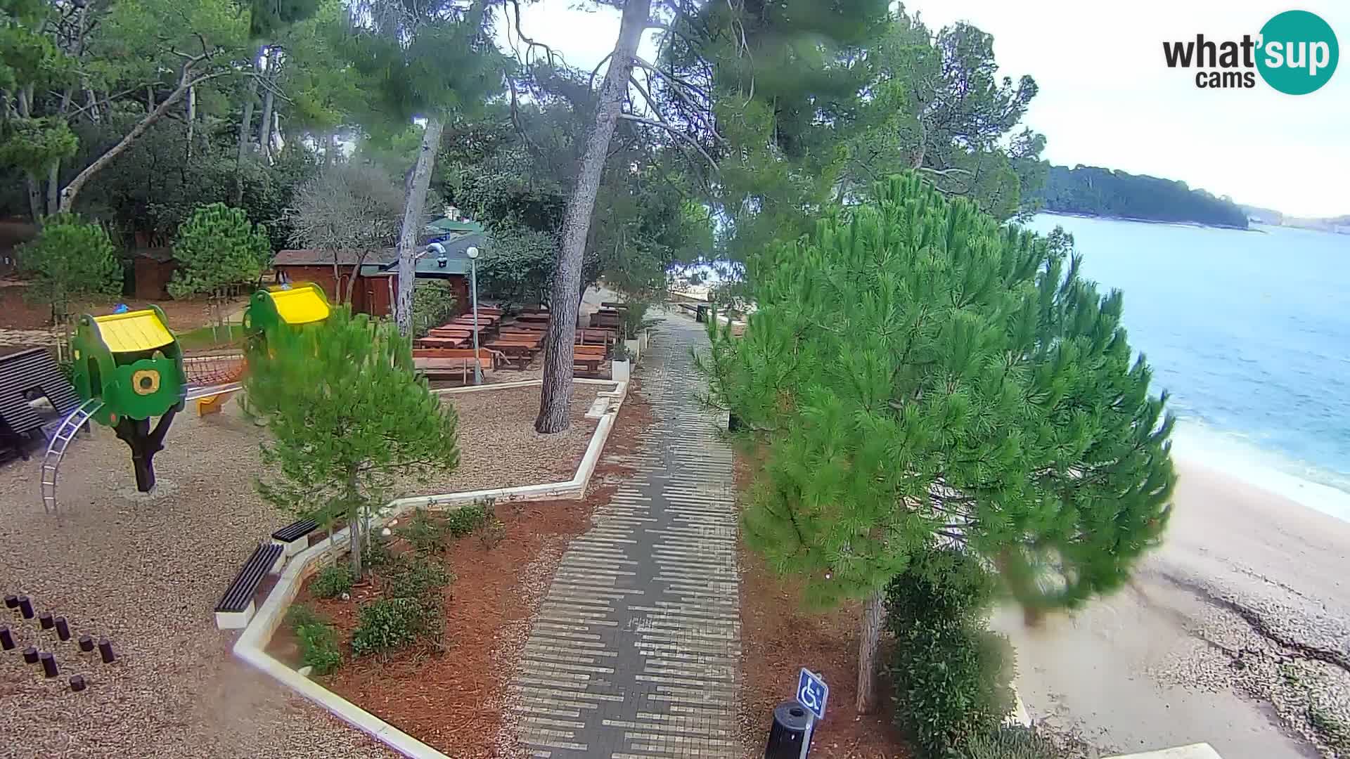 Spletna kamera plaža Borik Rovinj