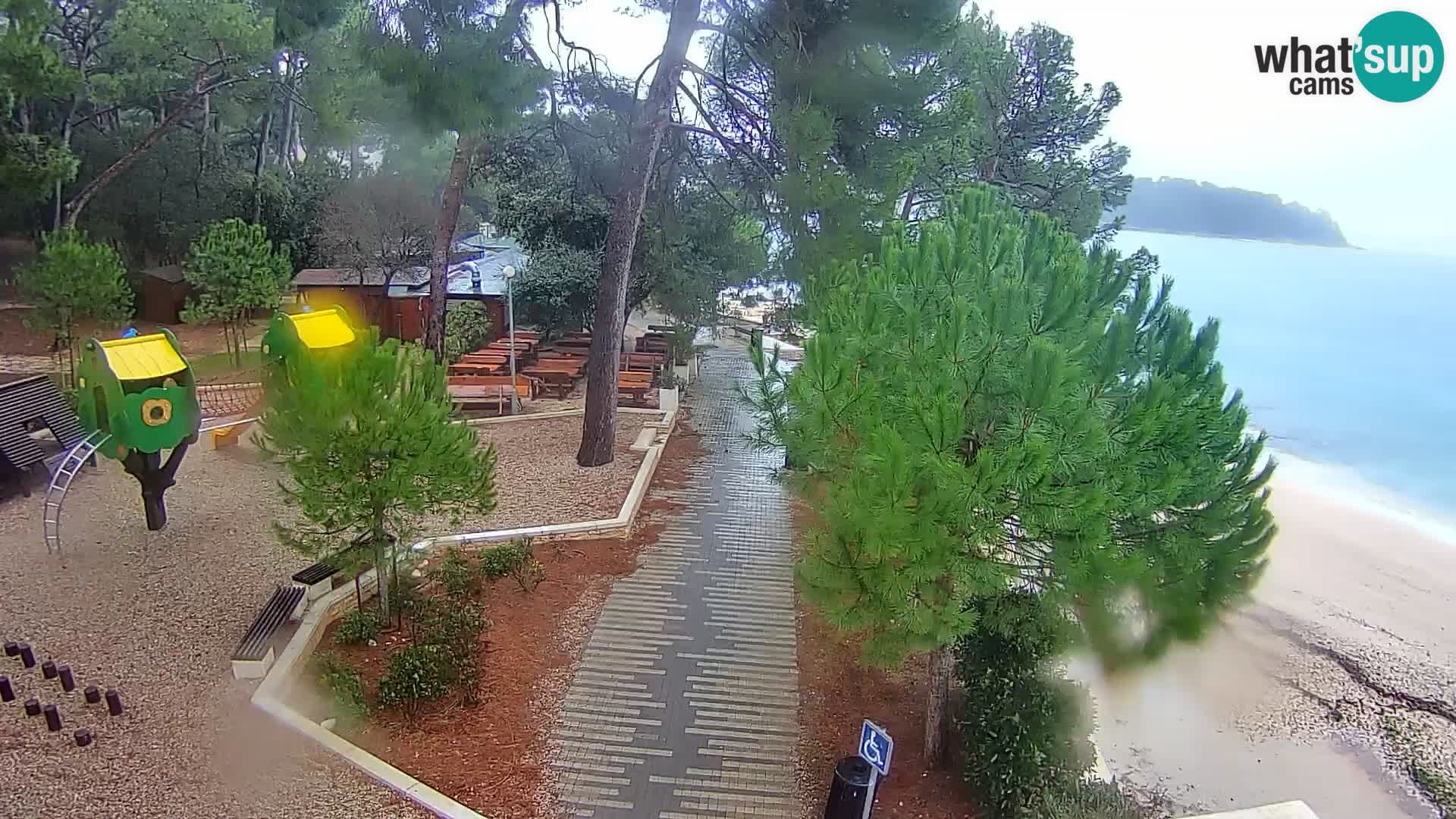 Spletna kamera plaža Borik Rovinj