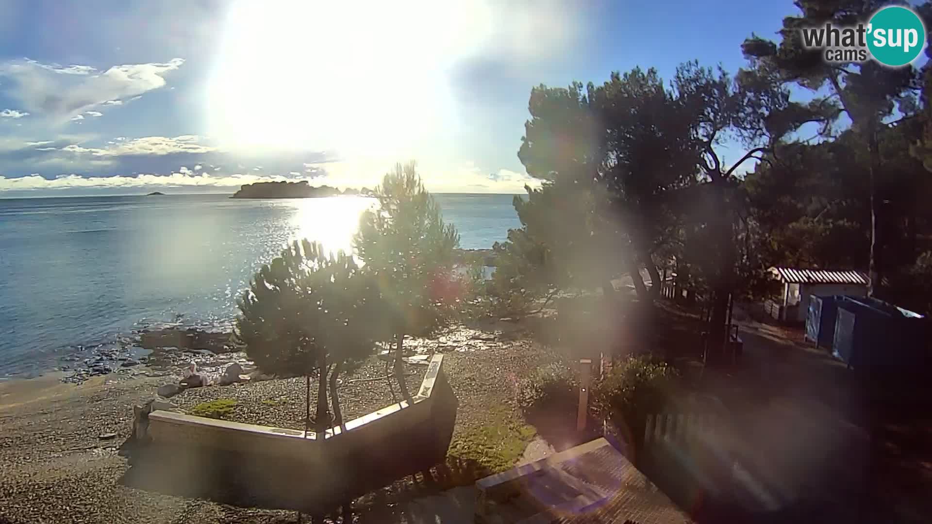 Webcam Spiaggia Borik a Rovigno – Istria