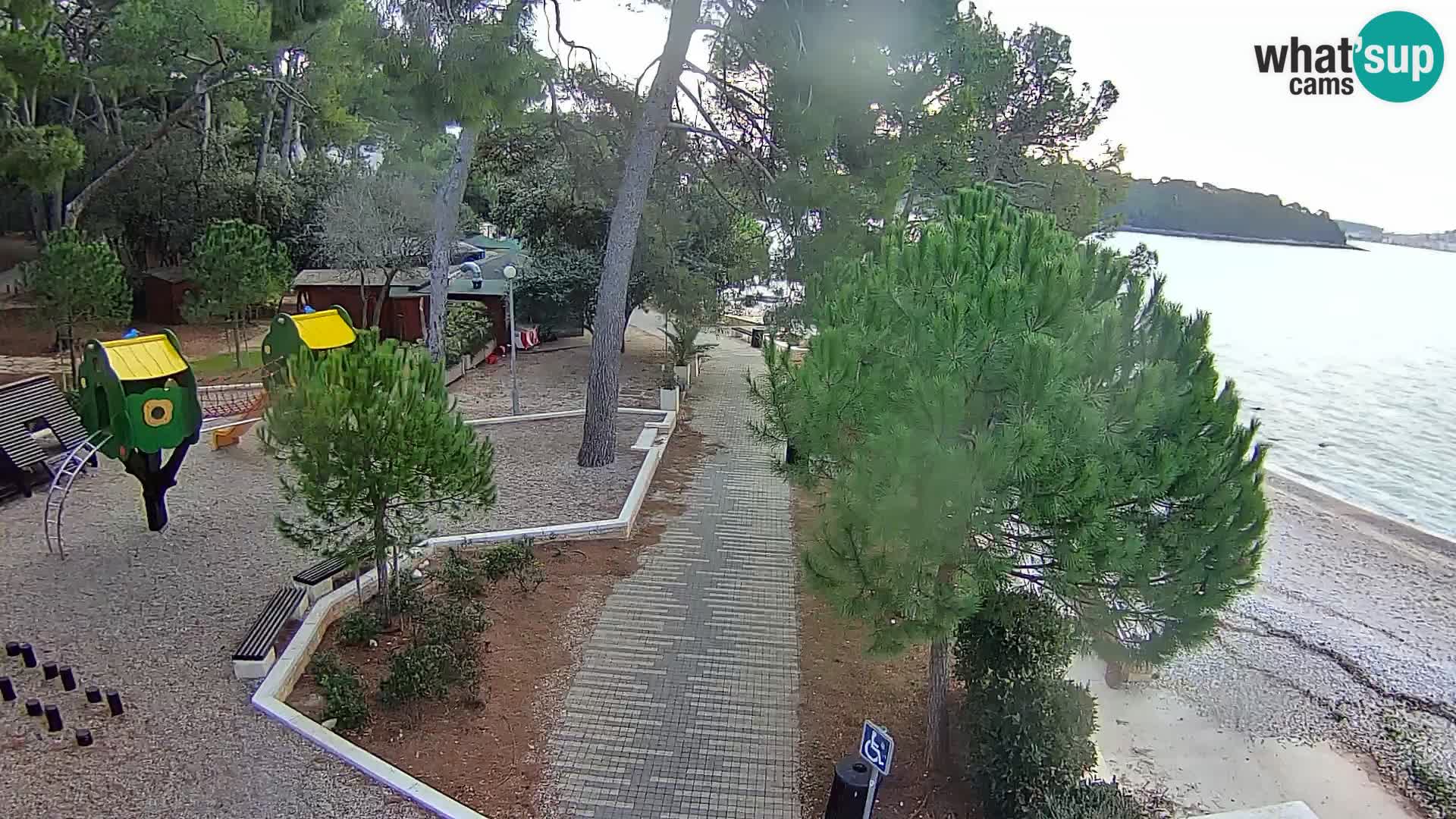 Webcam Spiaggia Borik a Rovigno – Istria