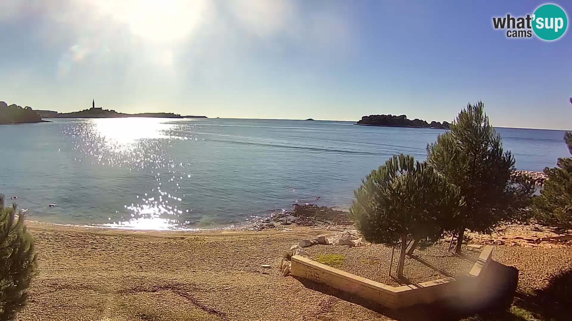 Webcam Spiaggia Borik a Rovigno – Istria