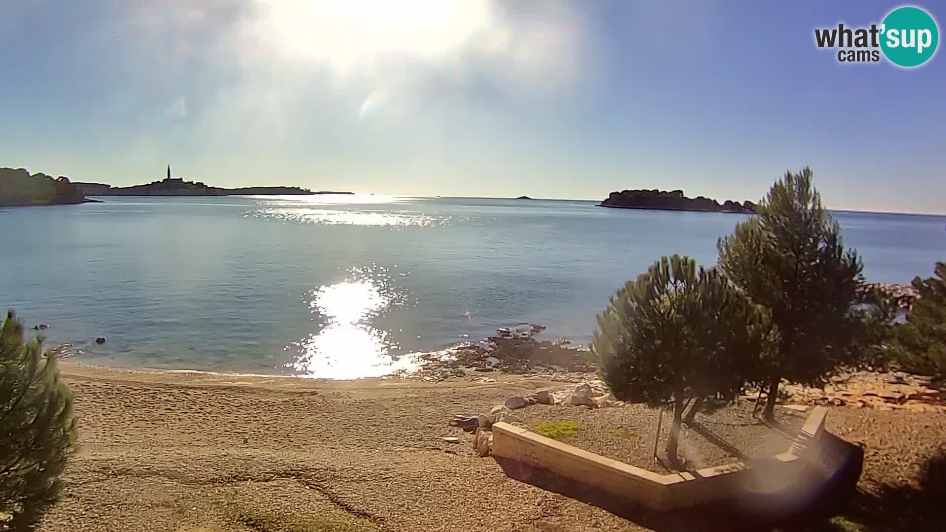 Spletna kamera plaža Borik Rovinj