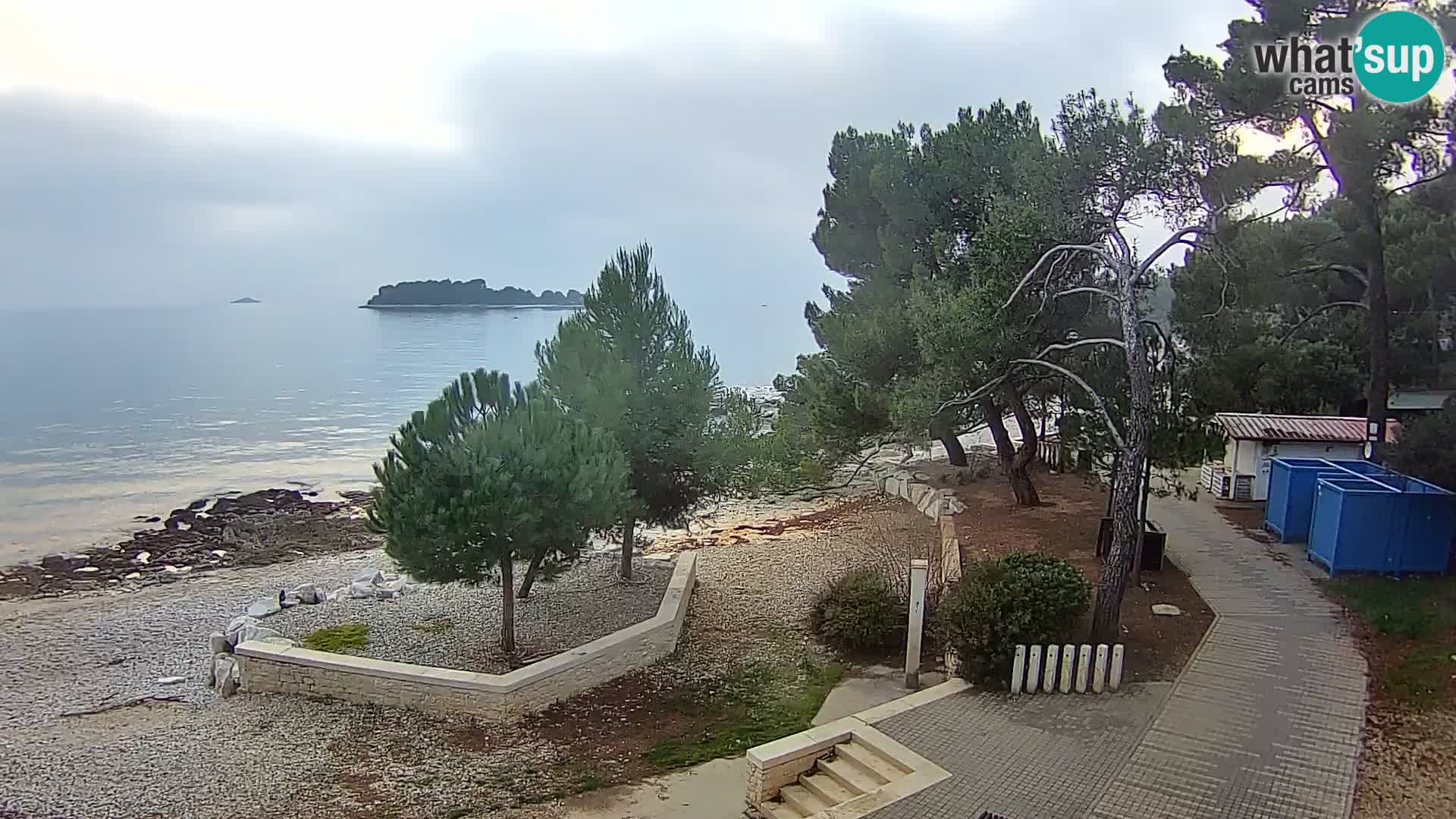 Webcam Spiaggia Borik a Rovigno – Istria