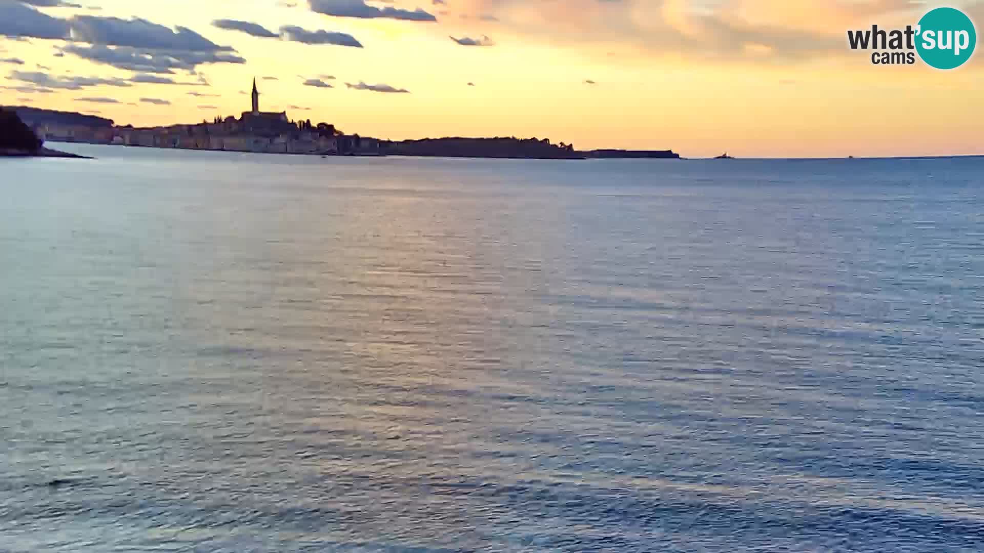 Webcam Spiaggia Borik a Rovigno – Istria