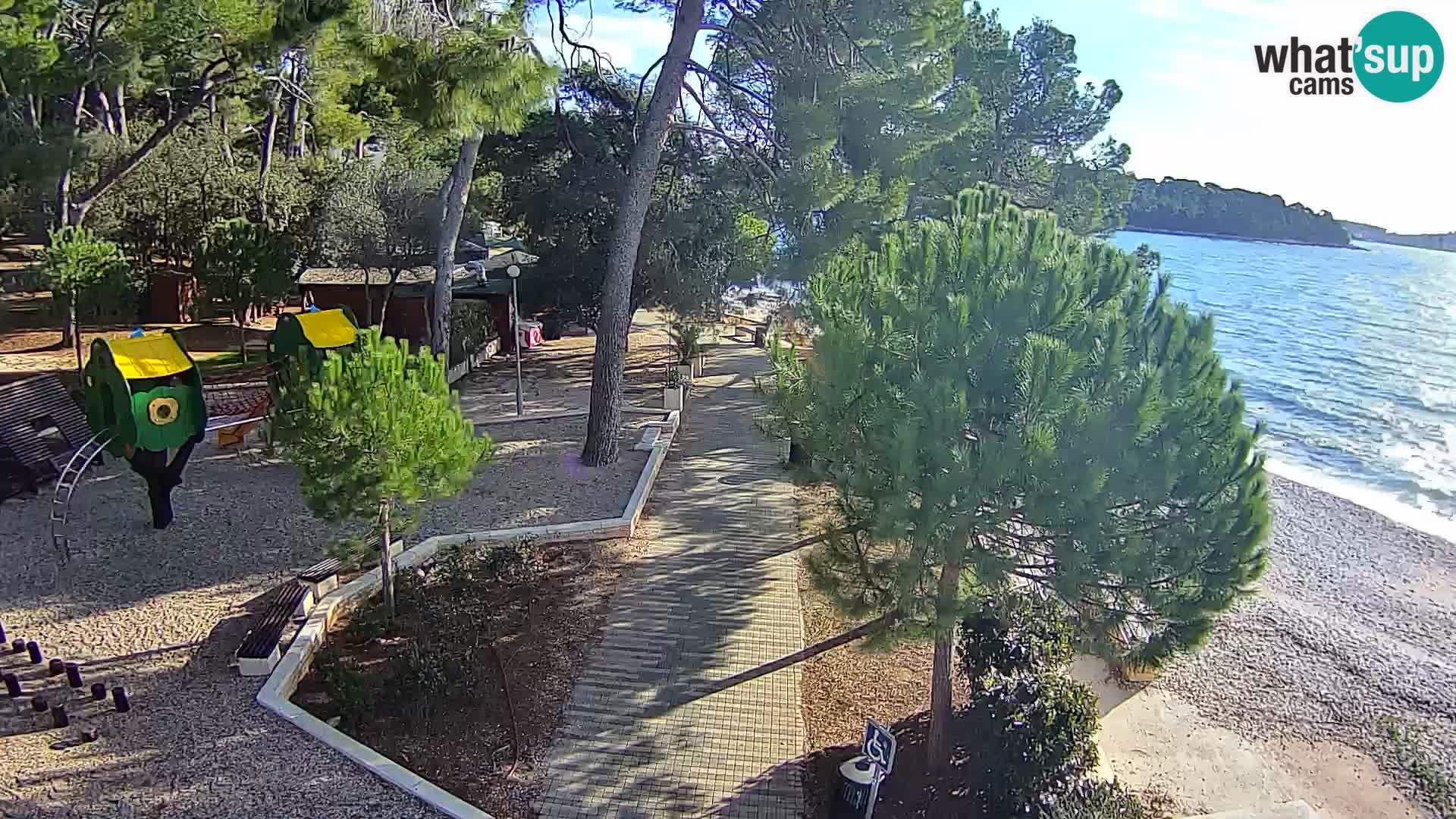 Webcam Borik Strand Rovinj – Istrien