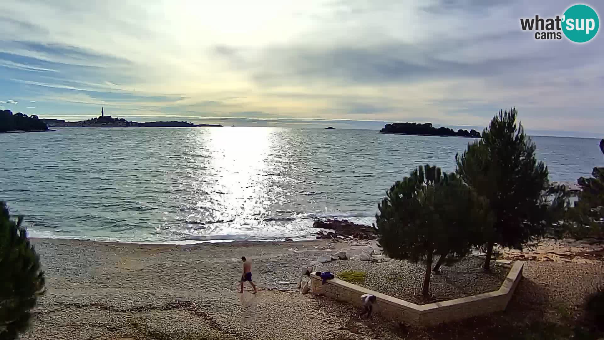 Camera en vivo Borik playa Rovinj – Istria