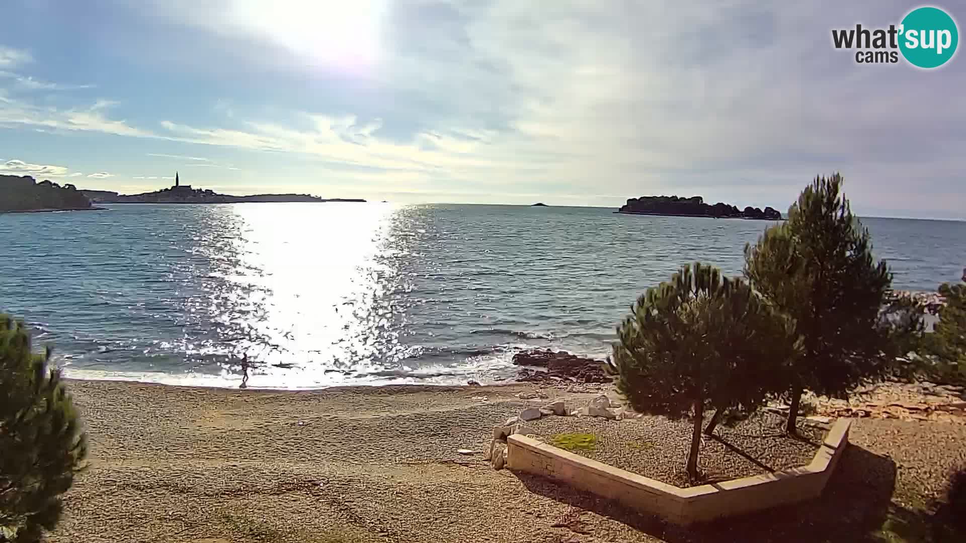 Spletna kamera plaža Borik Rovinj