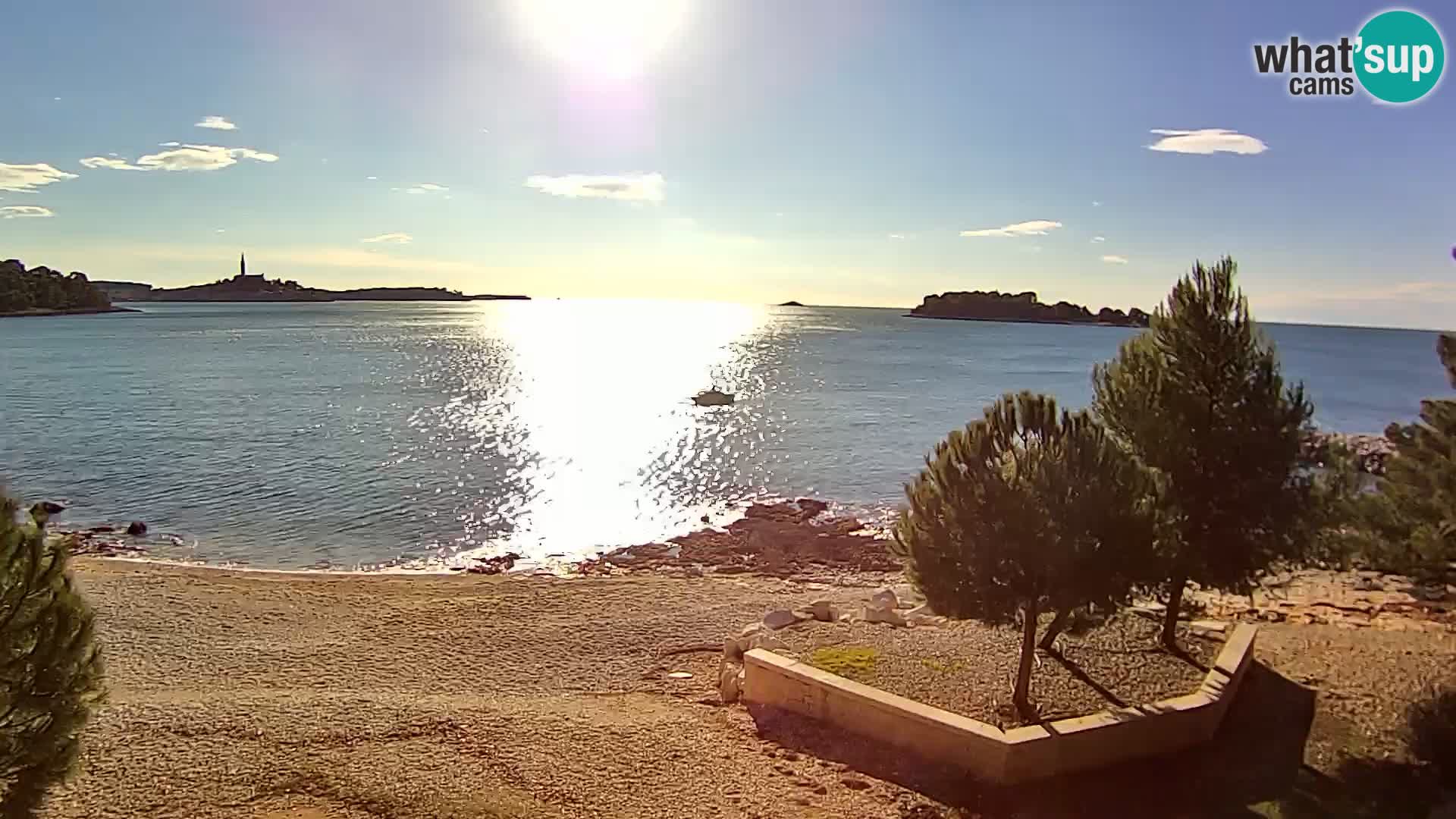 Spletna kamera plaža Borik Rovinj