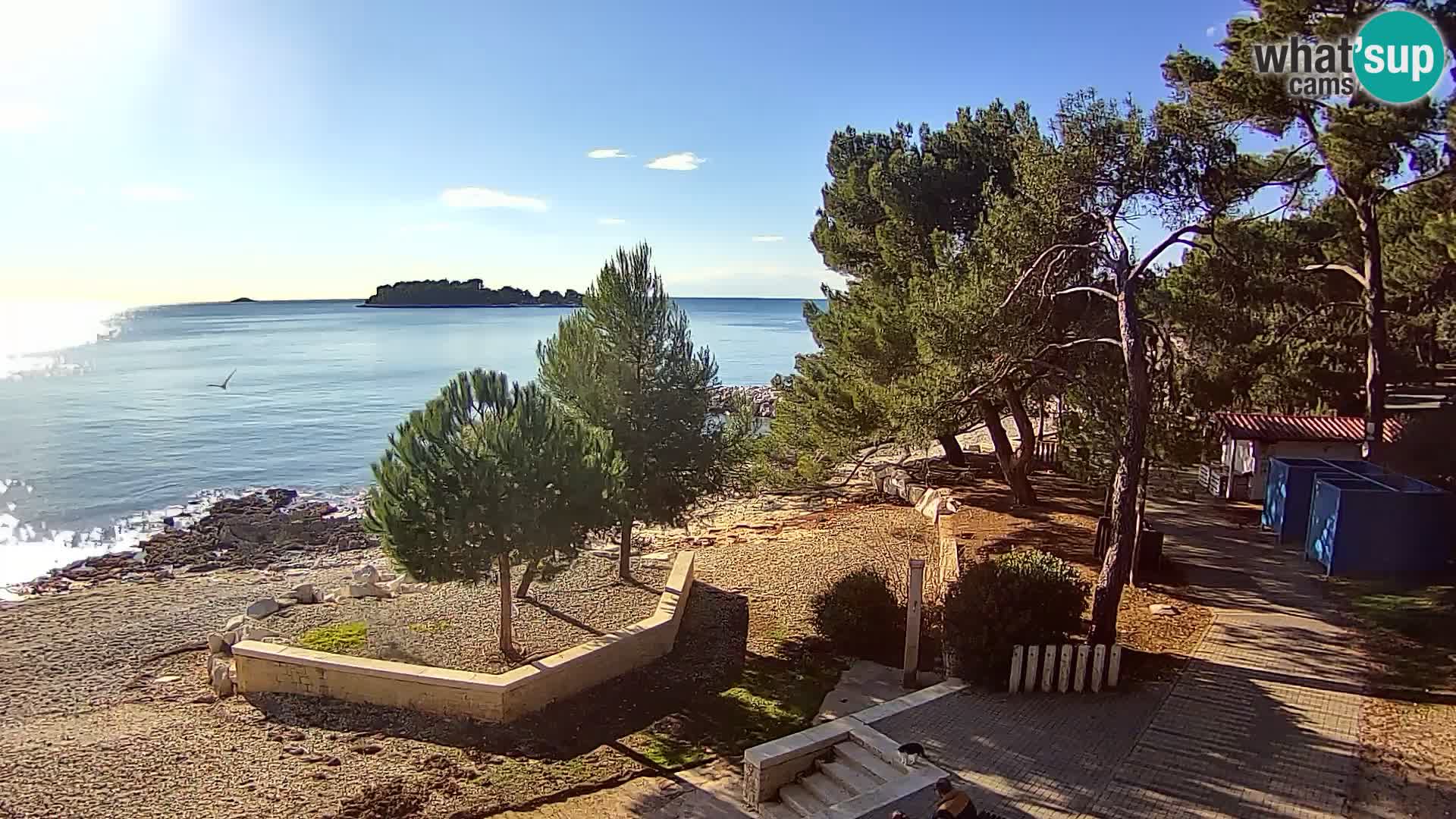 Webcam Spiaggia Borik a Rovigno – Istria