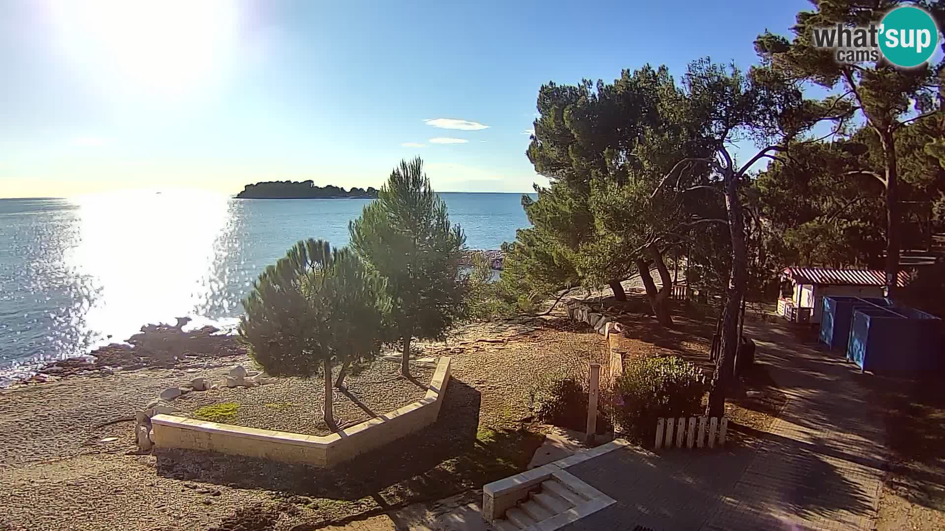 Webcam Spiaggia Borik a Rovigno – Istria