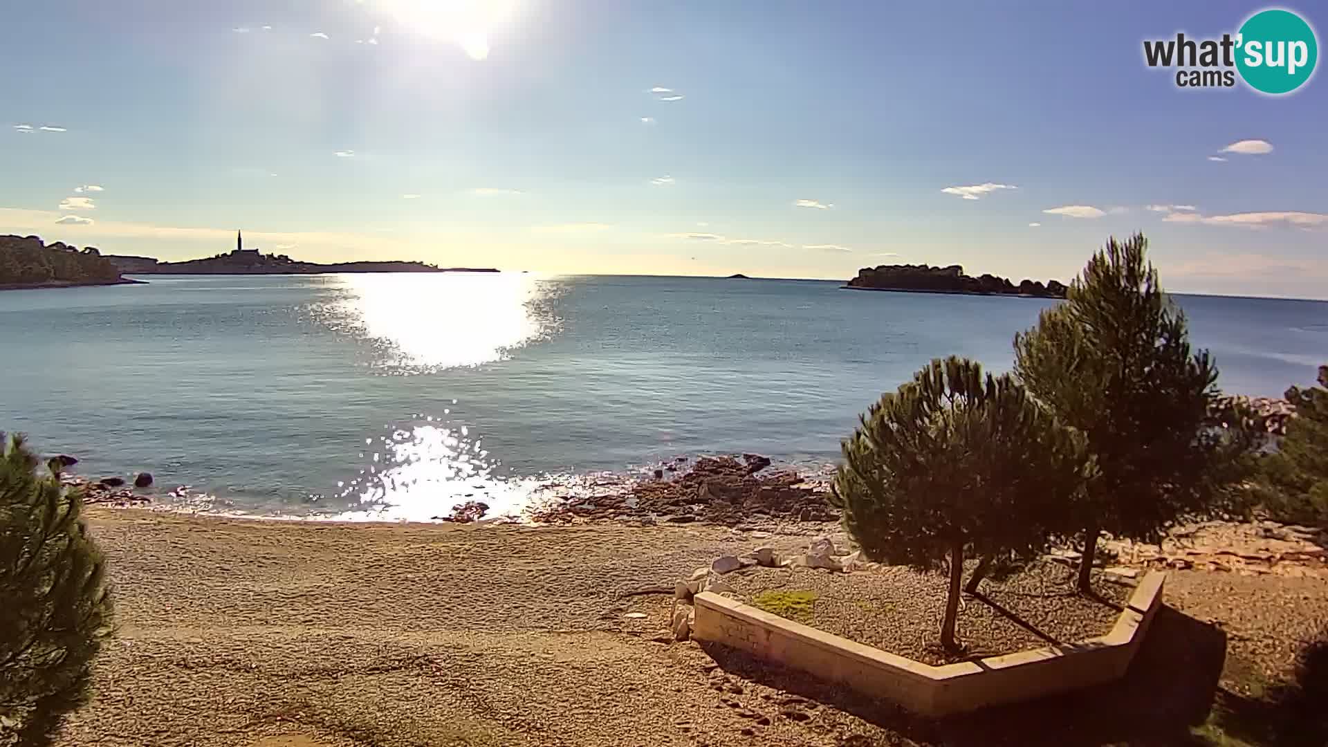 Webcam Spiaggia Borik a Rovigno – Istria