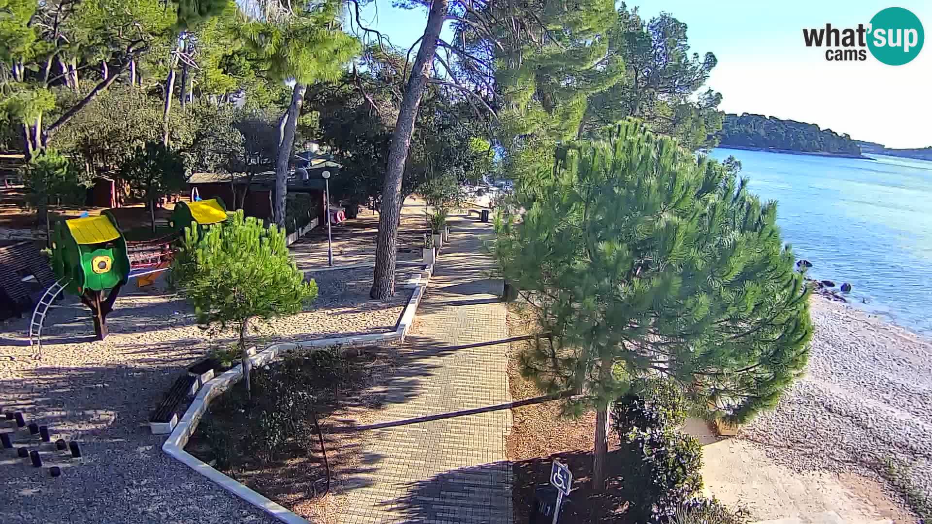 Spletna kamera plaža Borik Rovinj