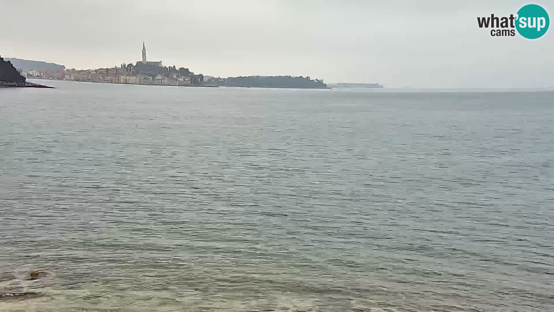 Spletna kamera plaža Borik Rovinj