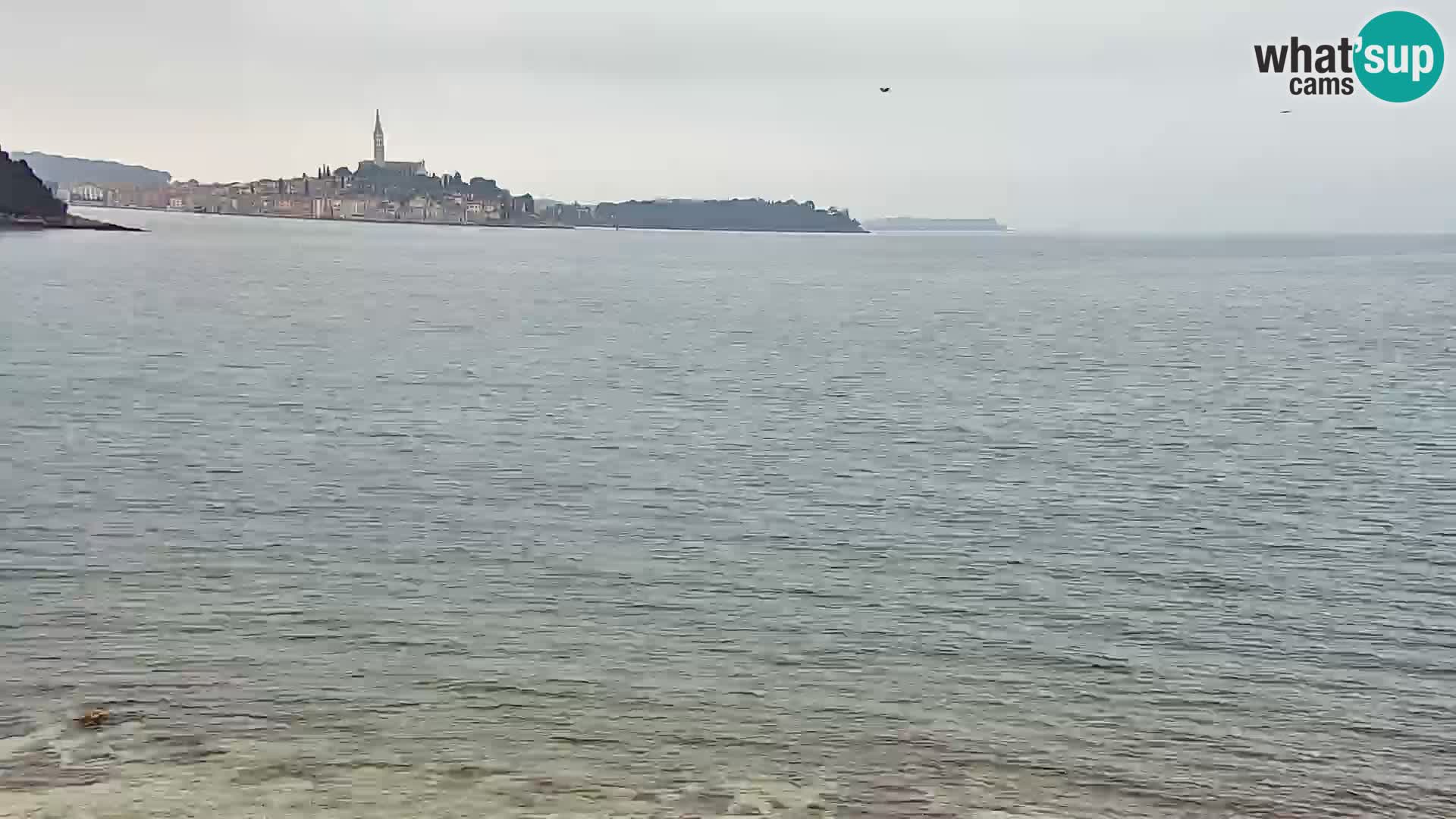 Camera en vivo Borik playa Rovinj – Istria