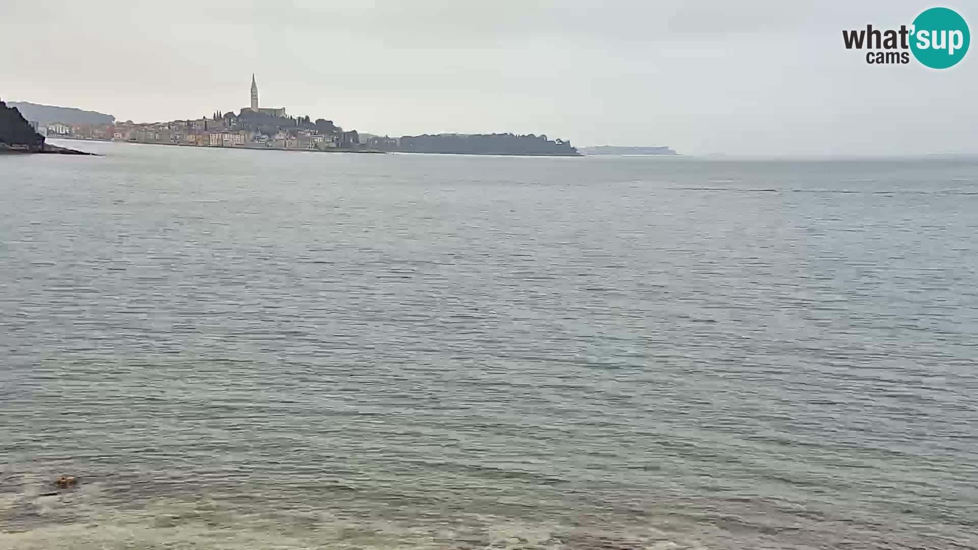 Webcam Borik Strand Rovinj – Istrien