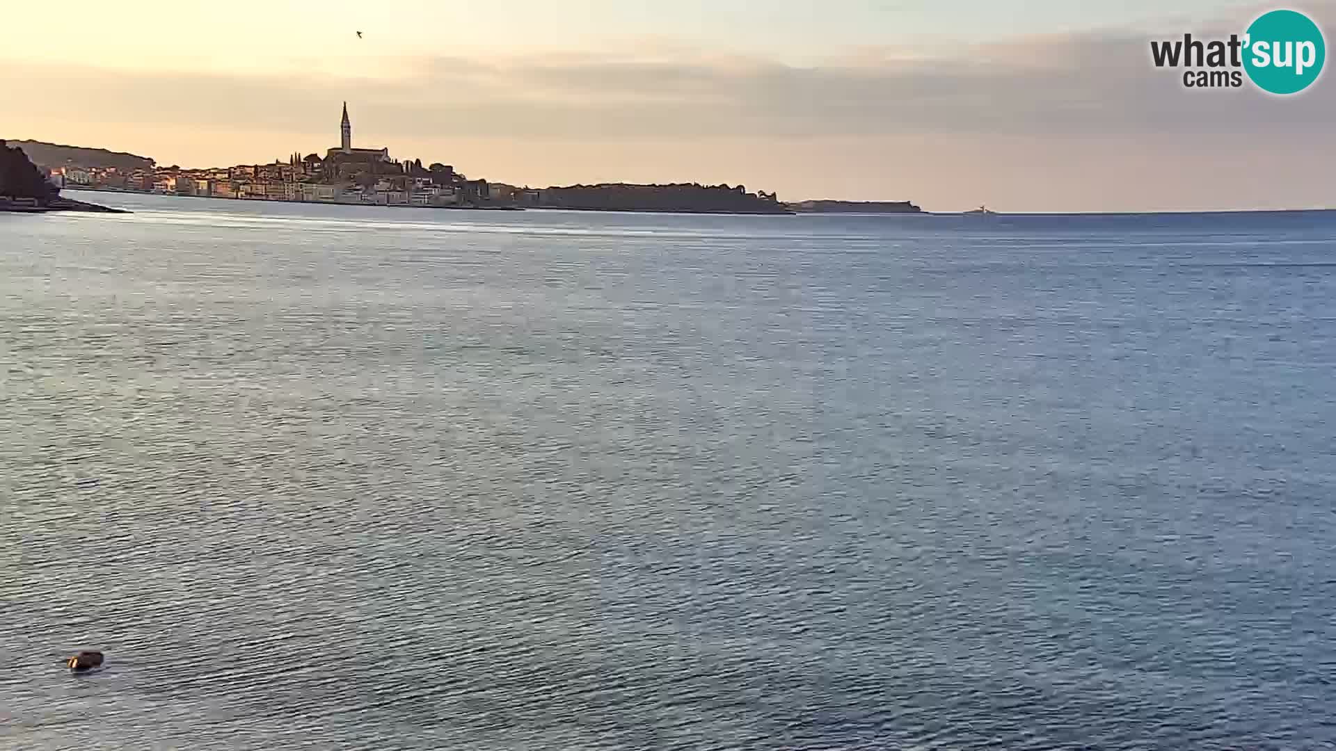 Webcam Borik beach Rovinj – Istria