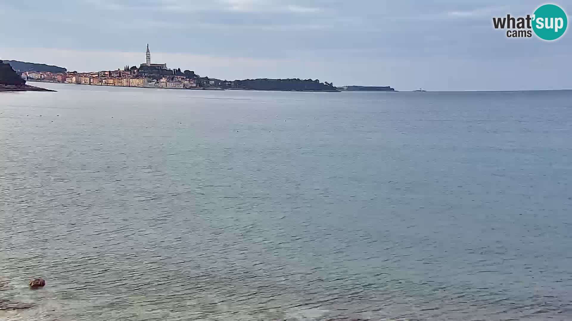 Livecam Borik plage Rovinj – Istrie