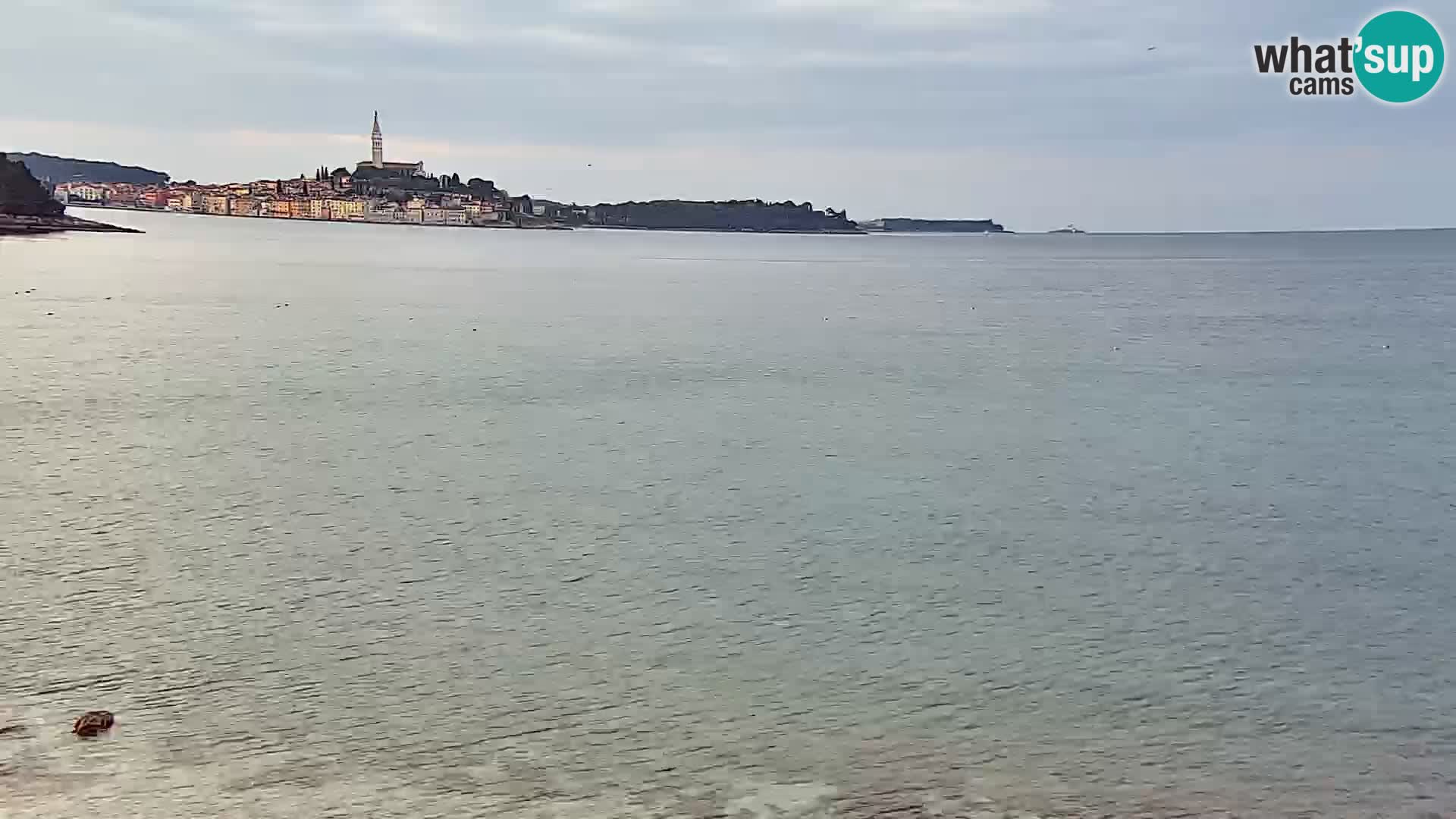 Webcam Borik beach Rovinj – Istria