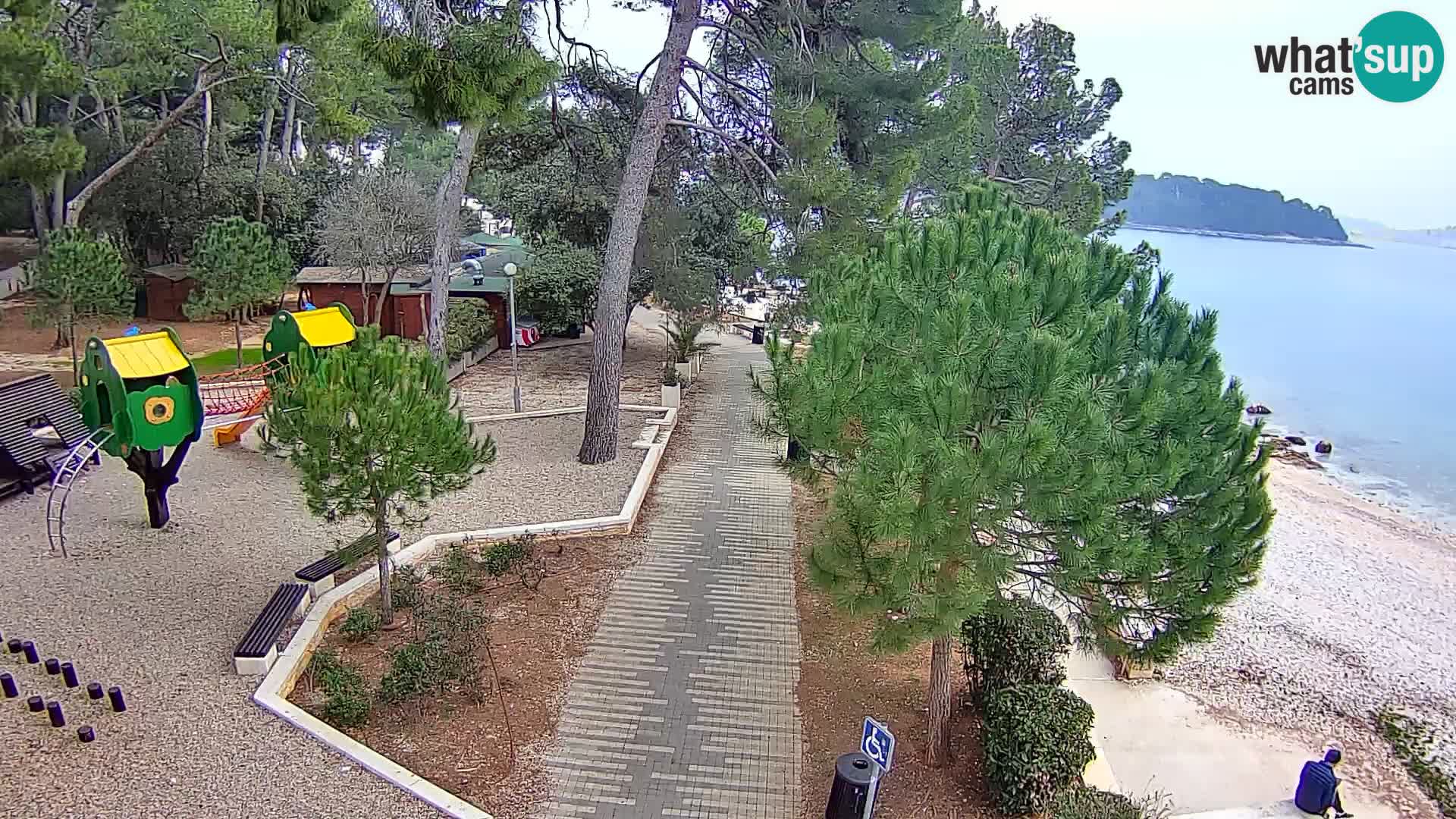 Livecam Borik plage Rovinj – Istrie