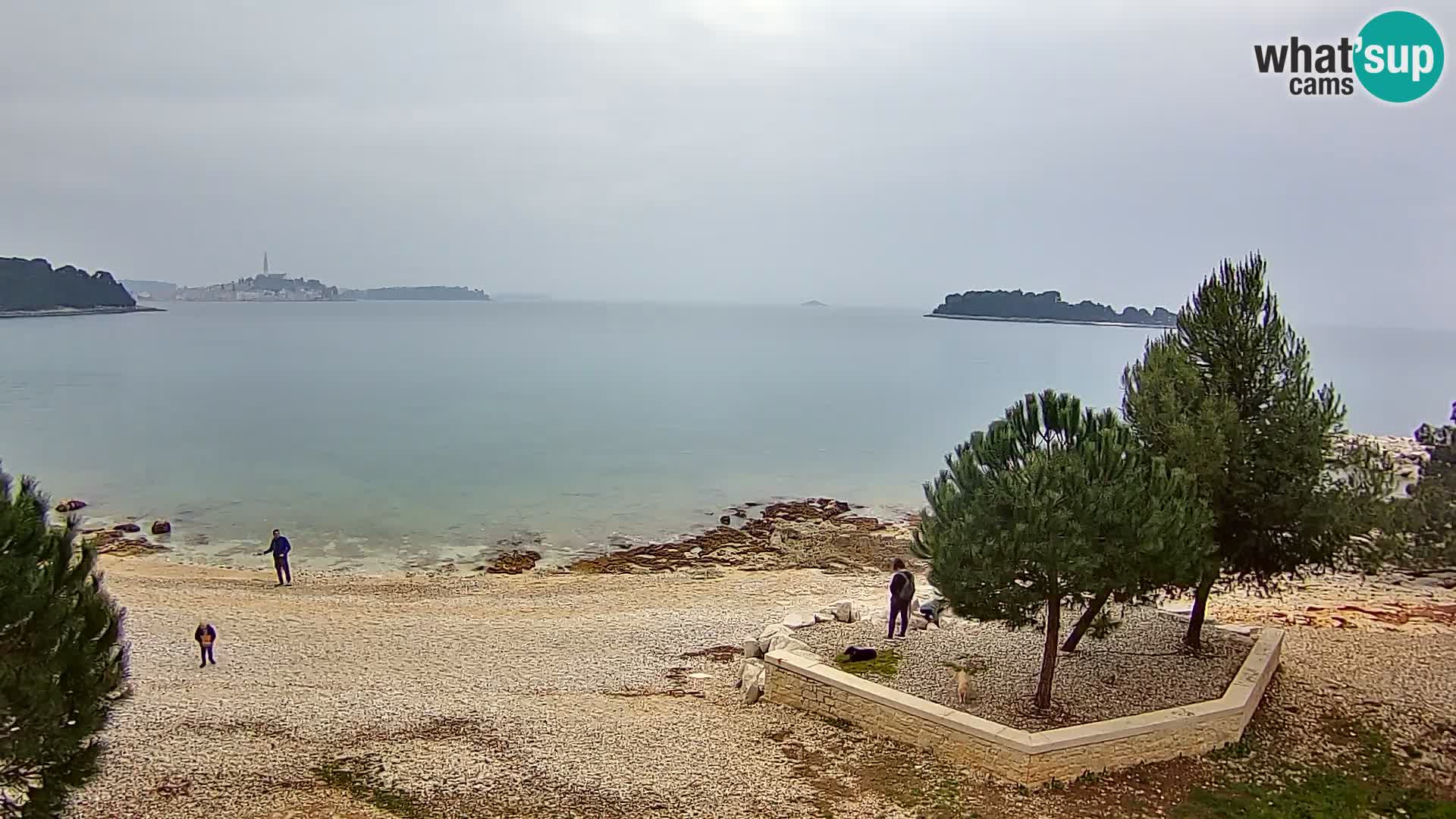 Webcam Spiaggia Borik a Rovigno – Istria