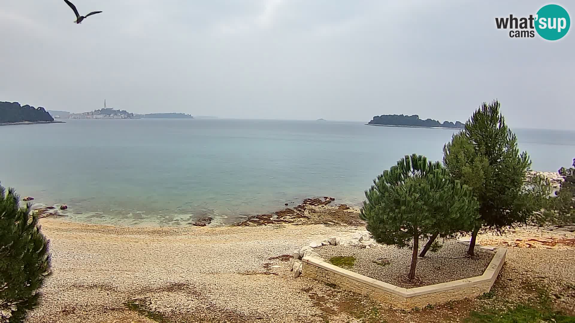 Spletna kamera plaža Borik Rovinj