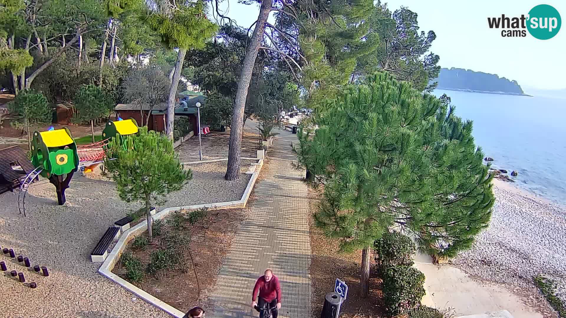 Spletna kamera plaža Borik Rovinj