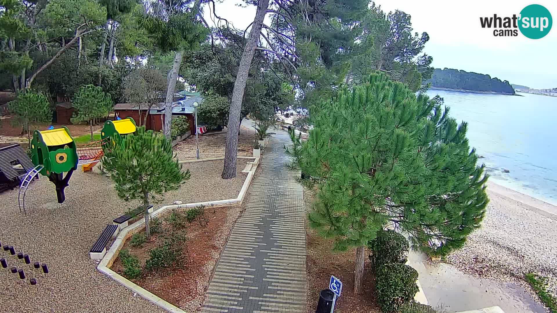 Webcam Spiaggia Borik a Rovigno – Istria