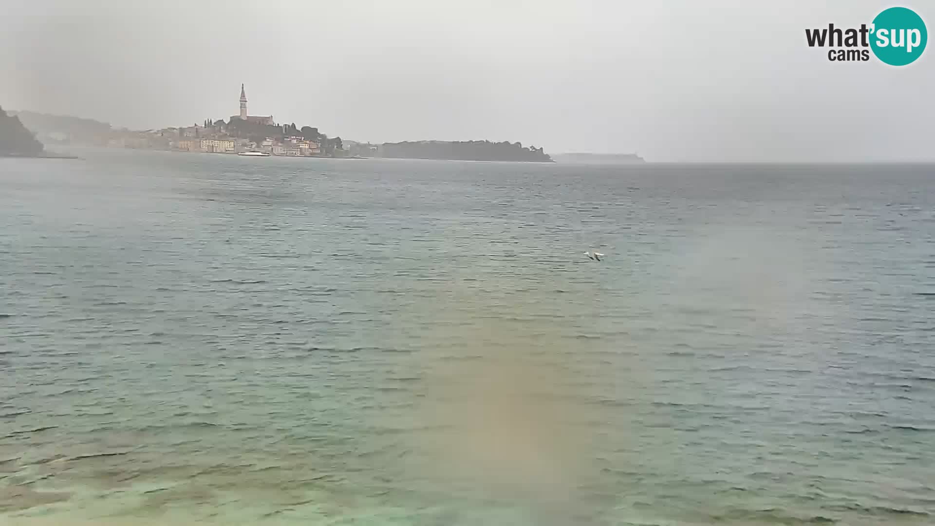 Camera en vivo Borik playa Rovinj – Istria