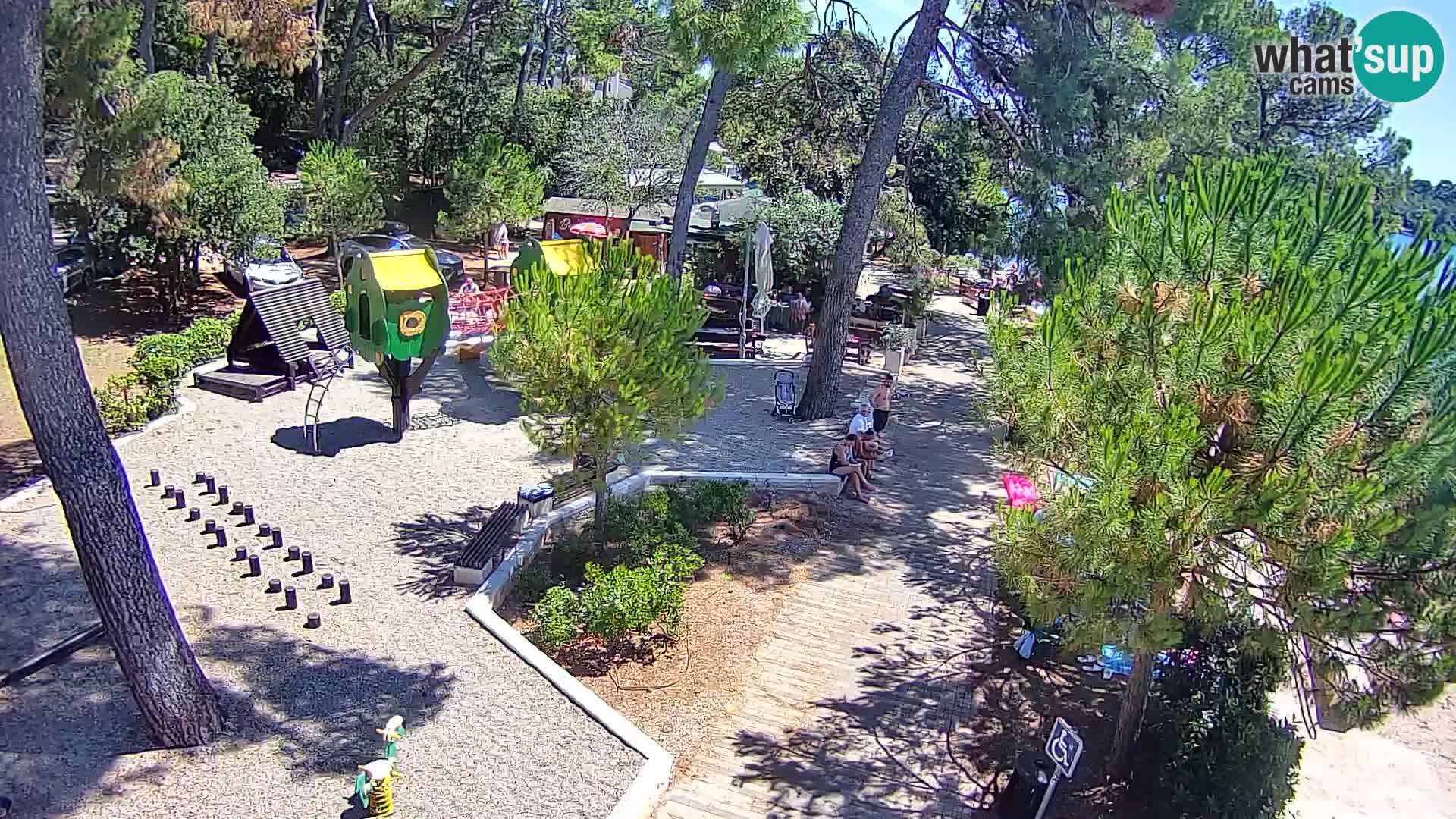Webcam Spiaggia Borik a Rovigno – Istria